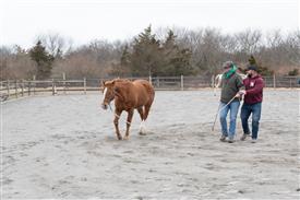 LR-2025-03-15 Retreat-1536